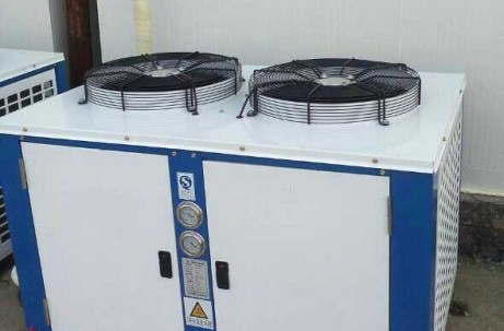 瑞安市錢順瓜菜合作社花菜保鮮氣調冷庫安裝