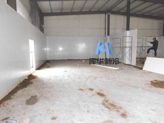 香菜冷庫建造 香菜氣調冷庫保存技術